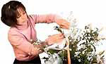 florist2