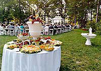 weddingt